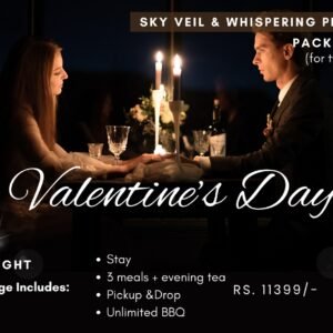 Valentines day special packages