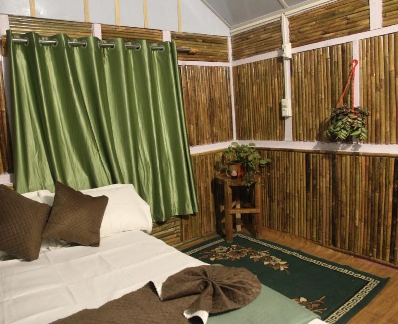 Whispering Pines — Forest View Cottage View: Whispering Pines — Forest View Cottage Image: Interiors opening into dense green forest.